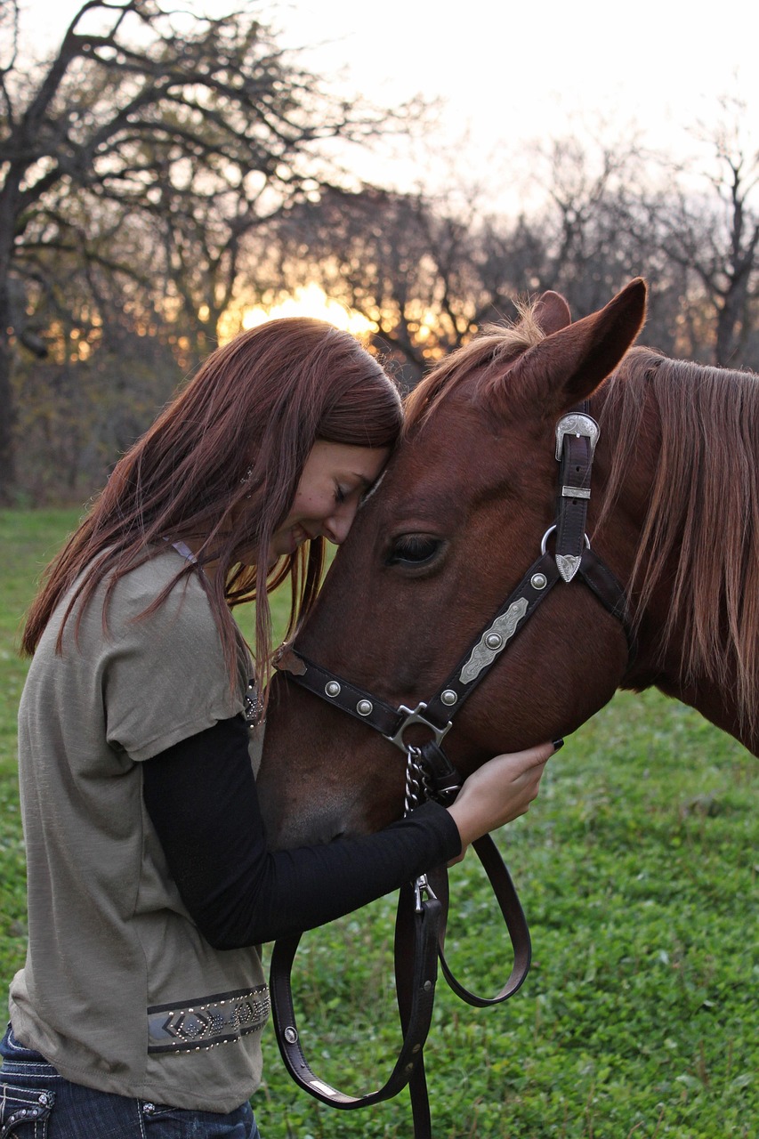 girl, horse, love, animal, nature, farm, ranch, riding, outdoor