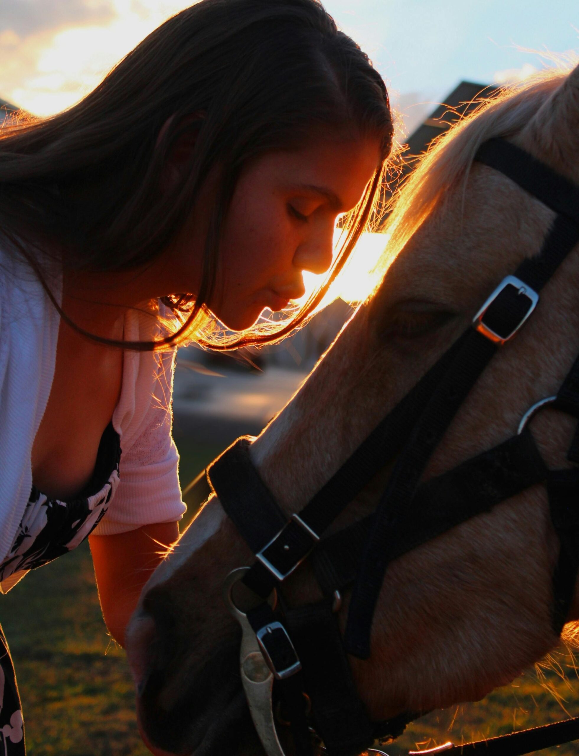 A woman shares a gentle moment with a horse during a warm summer sunset.